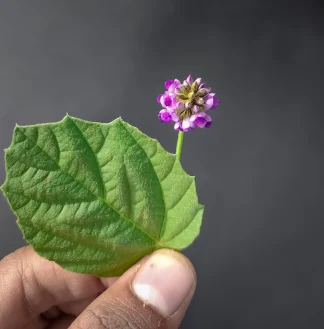 Dona alla tua pelle sempre più attenzioni
